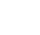 Viera Estudio